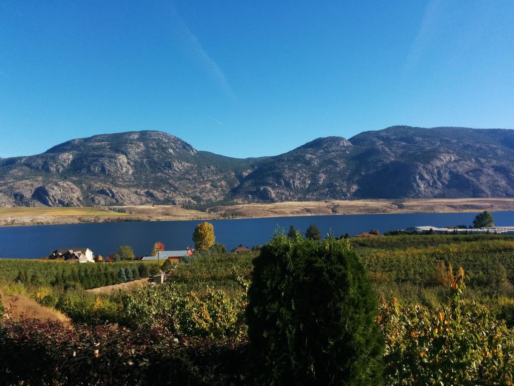 Ciliegia Villa Осойос Стая снимка